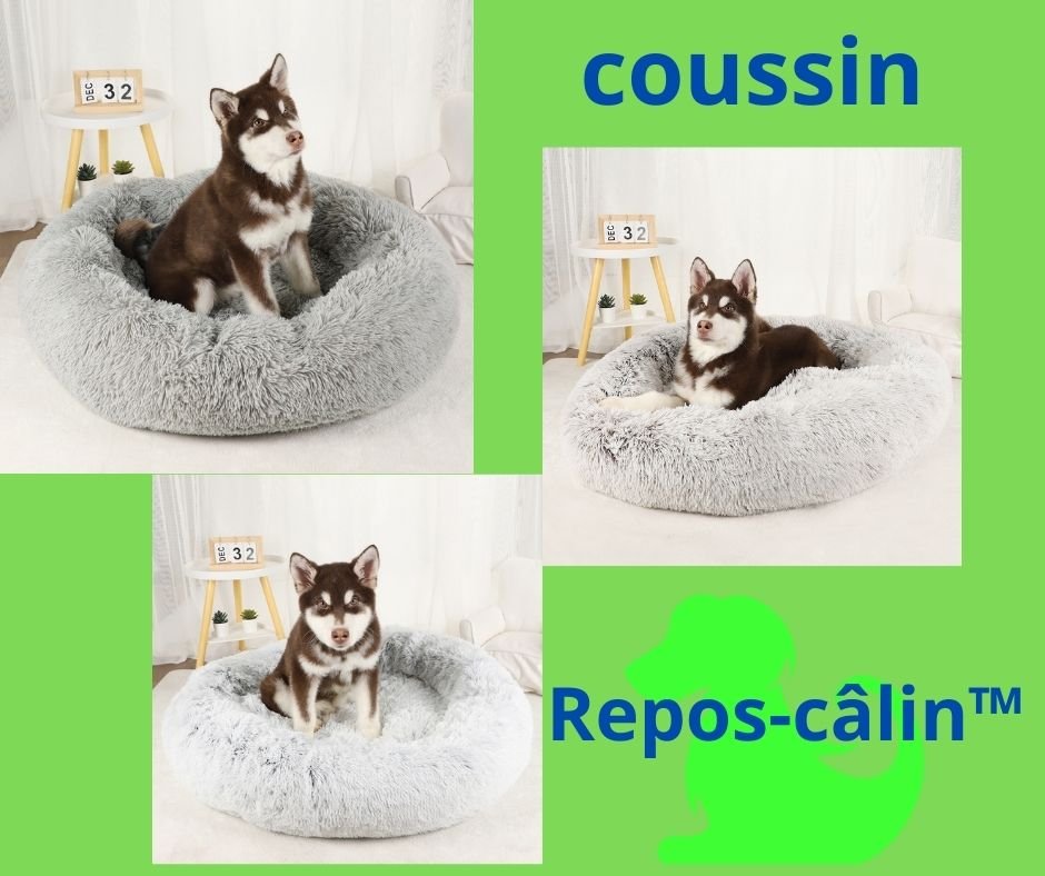 Coussin  pour chien | Repos-Câlin - Amis des chiens