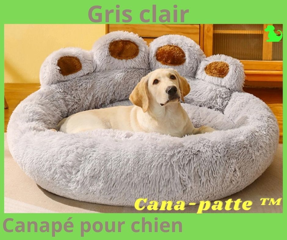 Canapé pour chien | Cana-patte™ - Amis des chiens