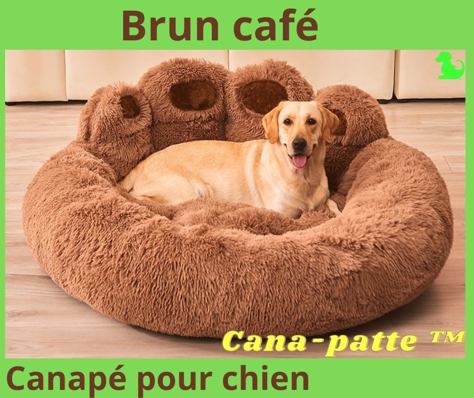 Canapé pour chien | Cana-patte™ - Amis des chiens