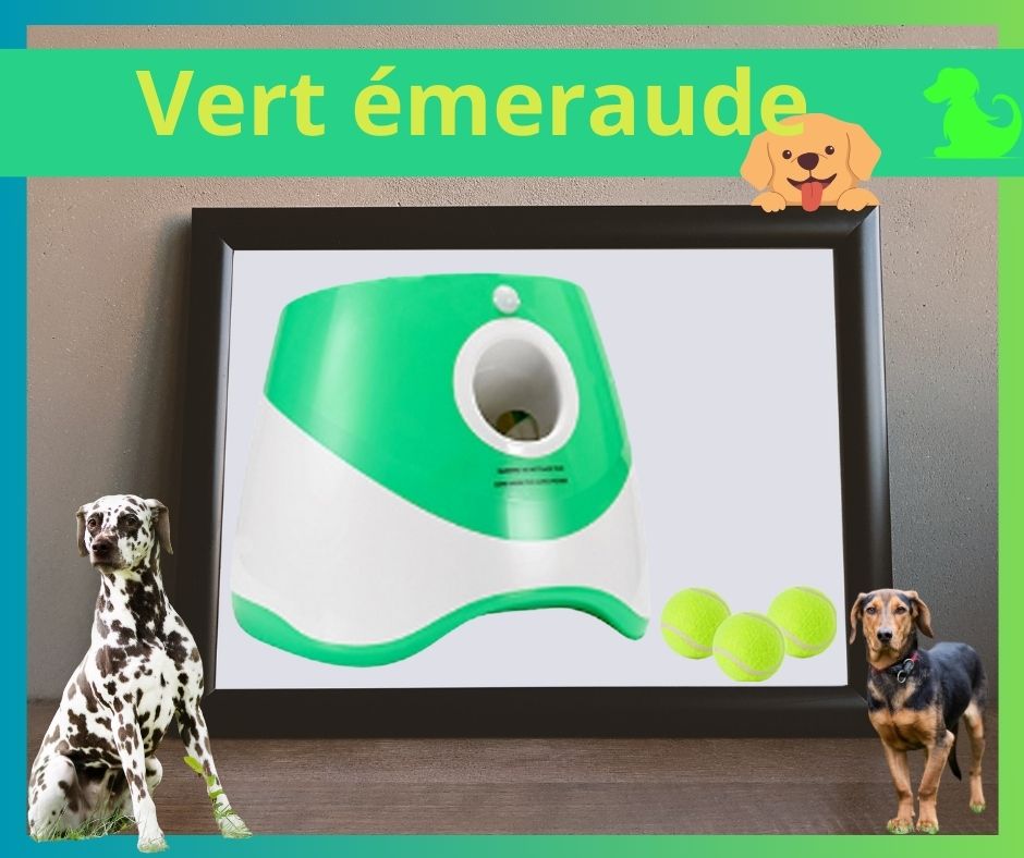 Lanceur de balle pour chien | Fido-Project™ - Amis des chiens