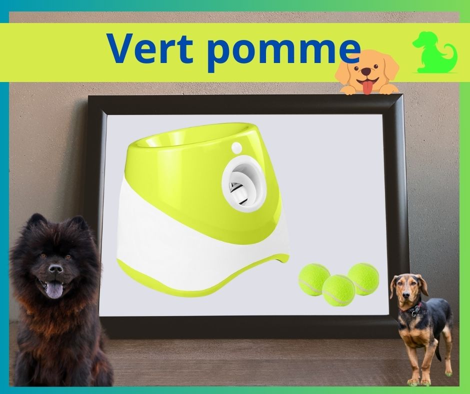 Lanceur de balle pour chien | Fido-Project™ - Amis des chiens