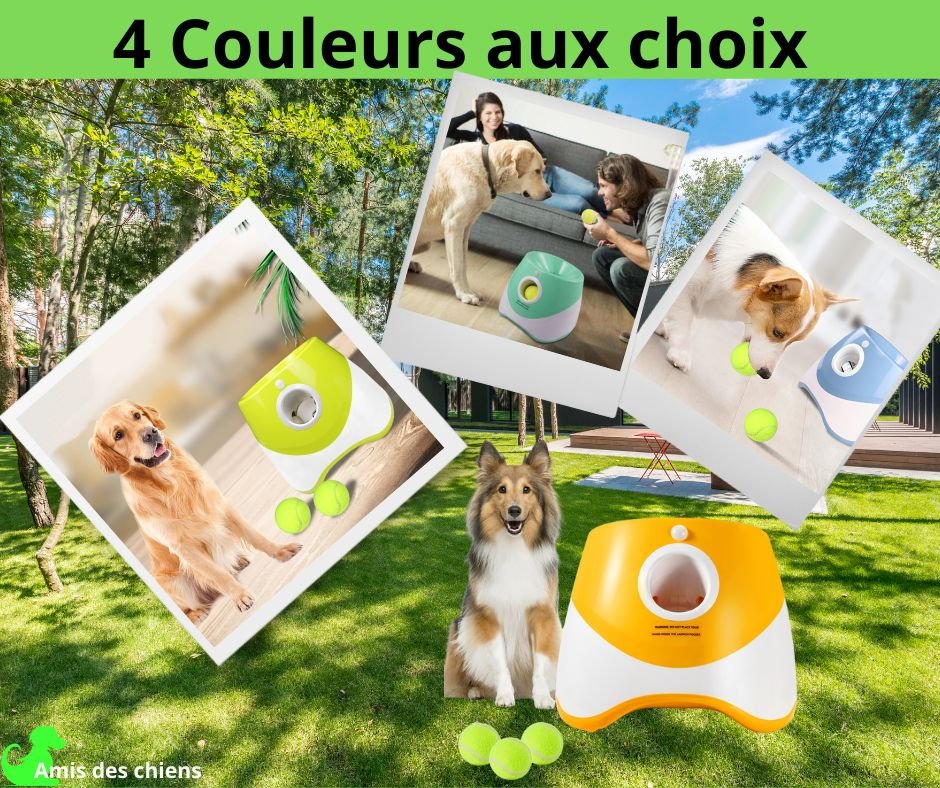 Lanceur de balle pour chien | Fido-Project™ - Amis des chiens