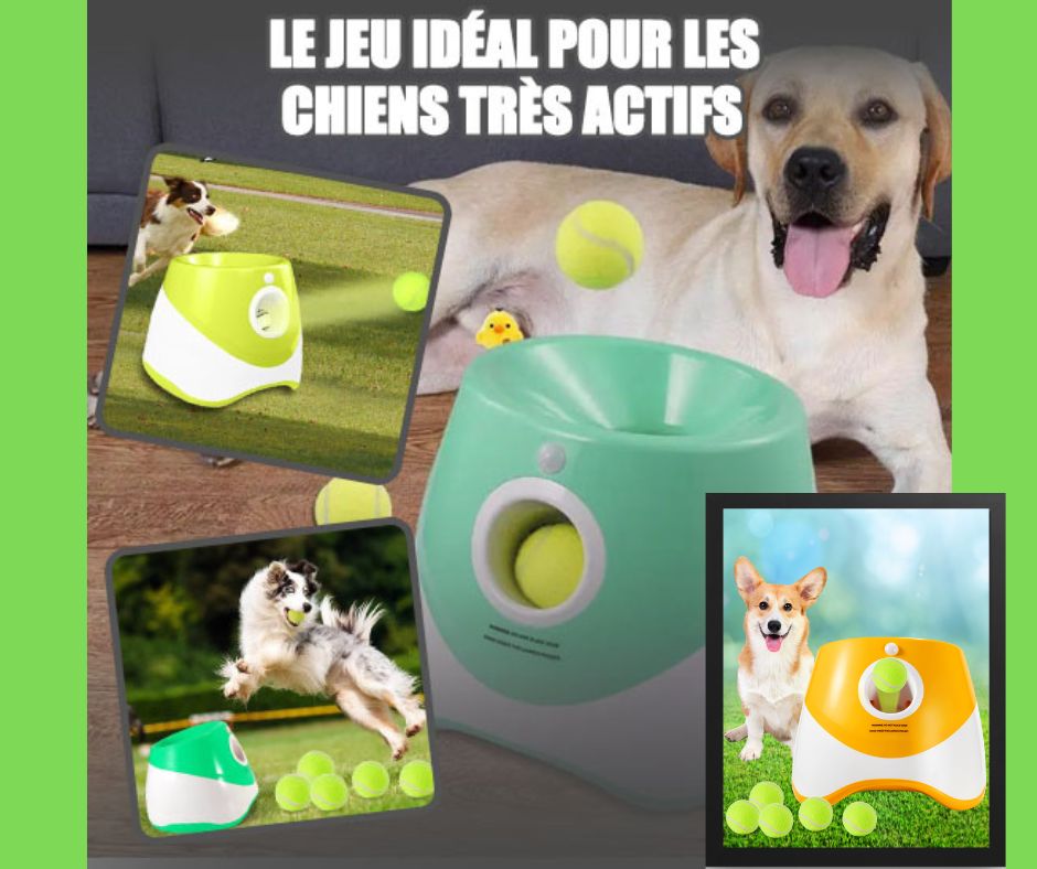 Lanceur de balle pour chien | Fido-Project™ - Amis des chiens